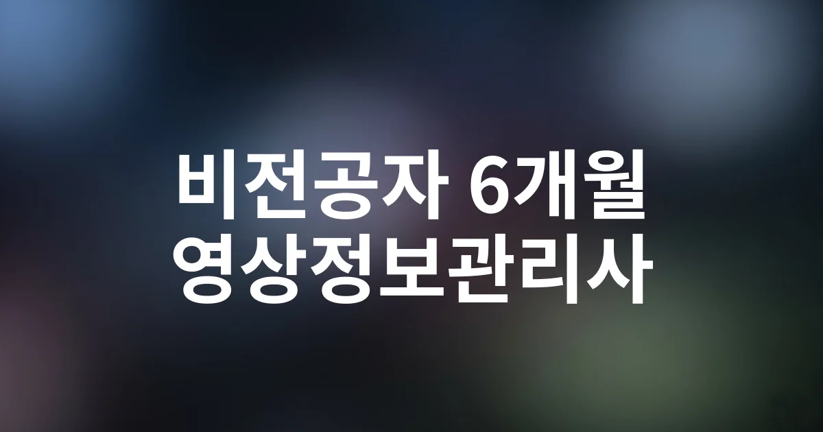 비전공자도 6개월 만에 영상정보관리사 합격한 공부법 총정리
