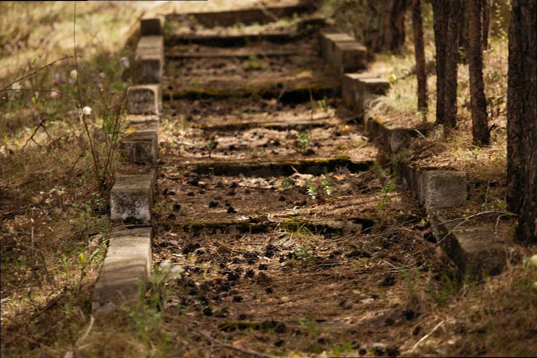 미래를 향해 나아가는 발자국 또는 계단 이미지로 가맹관리사 커리어 성장 상징