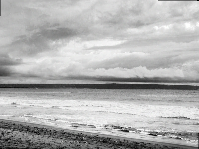 가맹관리사 자격증을 든 채 밝은 미래를 바라보는 이미지