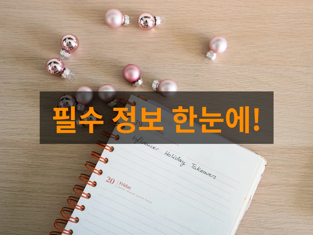 사회복지사 1급 2026년 24회 필기 시험일정 및 응시자격 필수 정보 총정리