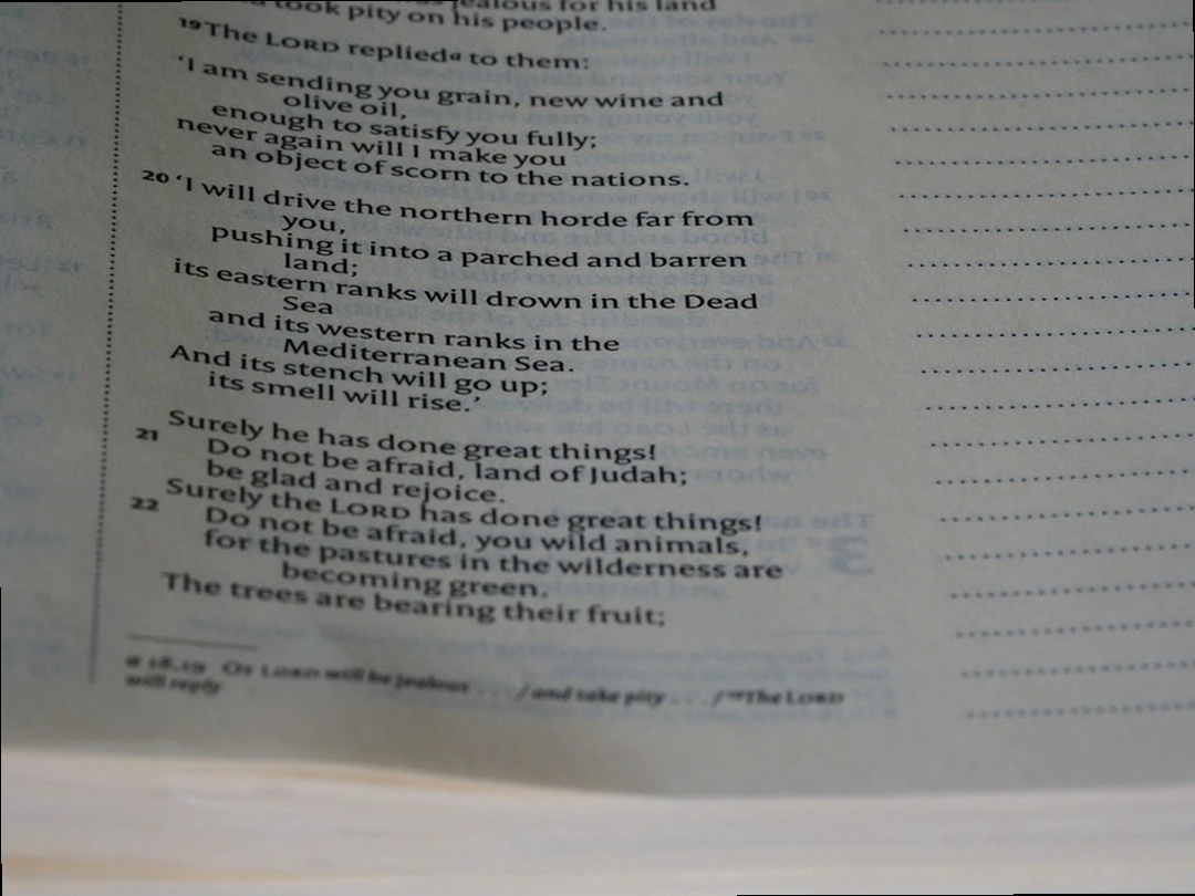 감정평가사 1차 합격 커트라인 및 합격 기준표 이미지